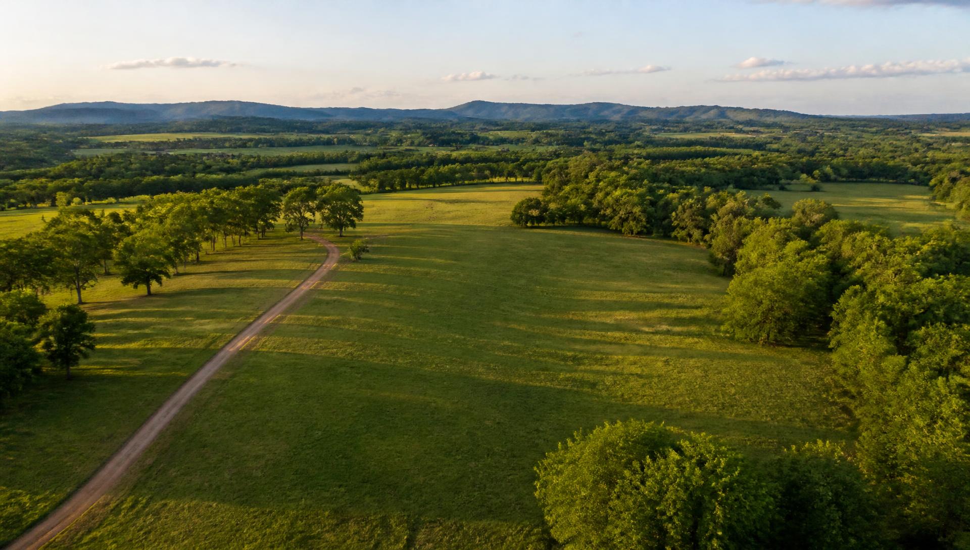 Aerial view of rolling green rural farmland at golden hour